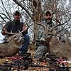 Looking for a hunt for 2015-whitetailbuck2013c.jpg