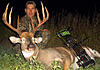 Trophy Nebraska Whitetail Bow Hunt-sergewhitetail.jpg