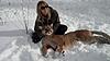 Cougar hunts-guided-cougar-hunts-3.jpg