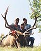 Colorado Rifle Elk Hunts-coloradoelk6.jpg