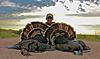 Turkey Hunting / Osceolas in FL / Rios &amp; Merriams in KS &amp; NE-ks.jpg