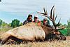 Colorado Elk, Mule Deer and Antelope Hunts-coloradorifleelk.jpg