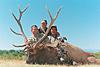 Colorado Elk, Mule Deer and Antelope Hunts-coloradobullelk2.jpg