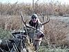 Colorado Elk, Mule Deer and Antelope Hunts-dennismuledeer.jpg