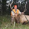 Colorado Late Season Rifle Elk Hunts-coloradobullelk7.jpg