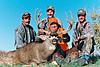 Colorado Mule Deer Hunts - Rifle/Archery-coloradomuledeer4.jpg