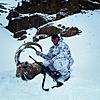 Special offer! Mid asian ibex and marco polo hunt in Kyrgyzstan!-adam.jpg