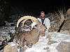 Special offer! Mid asian ibex and marco polo hunt in Kyrgyzstan!-486217.jpg