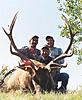 Colorado Archery Trophy Elk Hunt-coloradoelk6.jpg