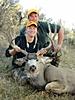 Colorado Mule Deer Hunts-coloradomuledeer13.jpg