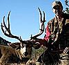 Colorado trophy mule deer hunt-bigsandybuck6a.jpg