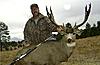 Colorado trophy mule deer hunt-bigsandybuck8.jpg