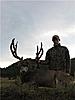 Colorado trophy mule deer hunt-bigsandybuck12.jpg