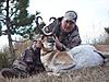 2010 Guided Pronghorn Antelope Hunts-antelope11-.jpg