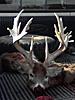 Kansas deer and pheasant/quail hunts available-luke-s-2009-deer.jpg