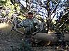 Colorado rifle/archery elk hunts-sheltonrancharcheryelk1.jpg