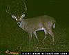 Monster Buck on Soggy Bottom Ground-dsc_0034.jpg