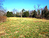 western kentucky hunting land-005-2-1.jpg