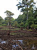 Louisiana Hunters Dream Come True For Sale-dannyland12.jpg