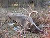 2009 Canadian Hunting Posts-1.jpg