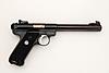 New squirrel hunting gun-ruger-govt-target-.22-lr.jpg