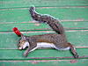 09-10 Squirrel Hunting Contest-pa020039.jpg