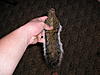 09-10 Squirrel Hunting Contest-pa220072.jpg