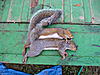 09-10 Squirrel Hunting Contest-pa240074.jpg