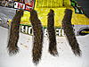 09-10 Squirrel Hunting Contest-pc140156.jpg