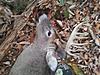 First 10 Pointer!-image-3-2-copy.jpg