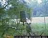 Texas deer pics!-game-cam-148.jpg