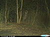 New-trail-cam-645.jpg