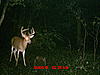 New Pics &amp; New Buck-mdgc0866.jpg