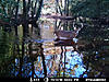 Tidal Reflections Buck-mdgc0025_0001-1.jpg