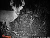 2010 trail cam pics-pict0112.jpg