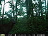 new bucks-pict0203.jpg