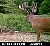 Big Missouri Deer-mdgc0062.jpg