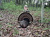 My Turkey Hunting Pics from this seson-eli-s-2nd-eastern.jpg