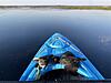 Marsh hens aka Poule d'eau from Lake Miccosukee FL-poule-deau_3.jpg