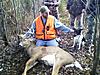 PA 8-point-2010-8-point-2.jpg