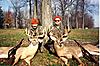 A picture of two nice bucks.-fred-6.jpg