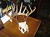 how i cut antlers off-img_1419-custom-.jpg