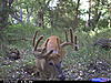 deer dad and I have got-cdy_0048.jpg