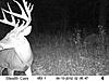 deer dad and I have got-sunp0071.jpg