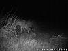 Gun Deer Only-vlcsnap-2014-11-25-14h09m53s174.jpg