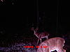 score this south alabama monster-mdgc1194.jpg