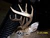 Ohio 11 Pointer, &amp; #5 for the year. With Pics-104_3390.jpg