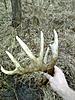 Sheds/Shed Hunting Tips-shed.jpg