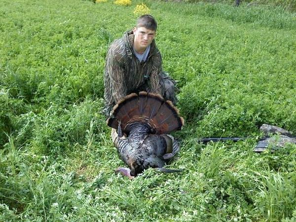 turkey 11 inch beard...1.25' spurs