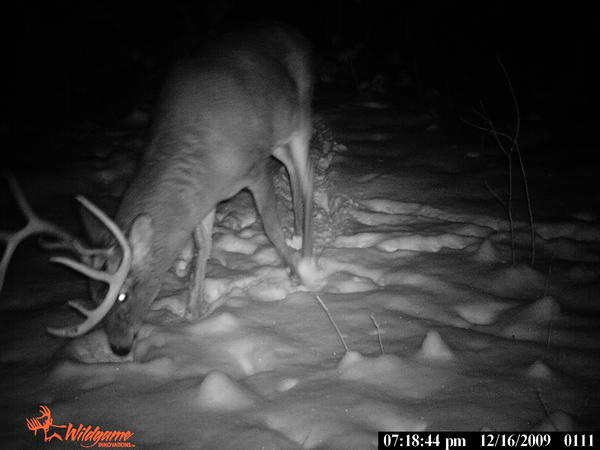 thinks it big 10 point